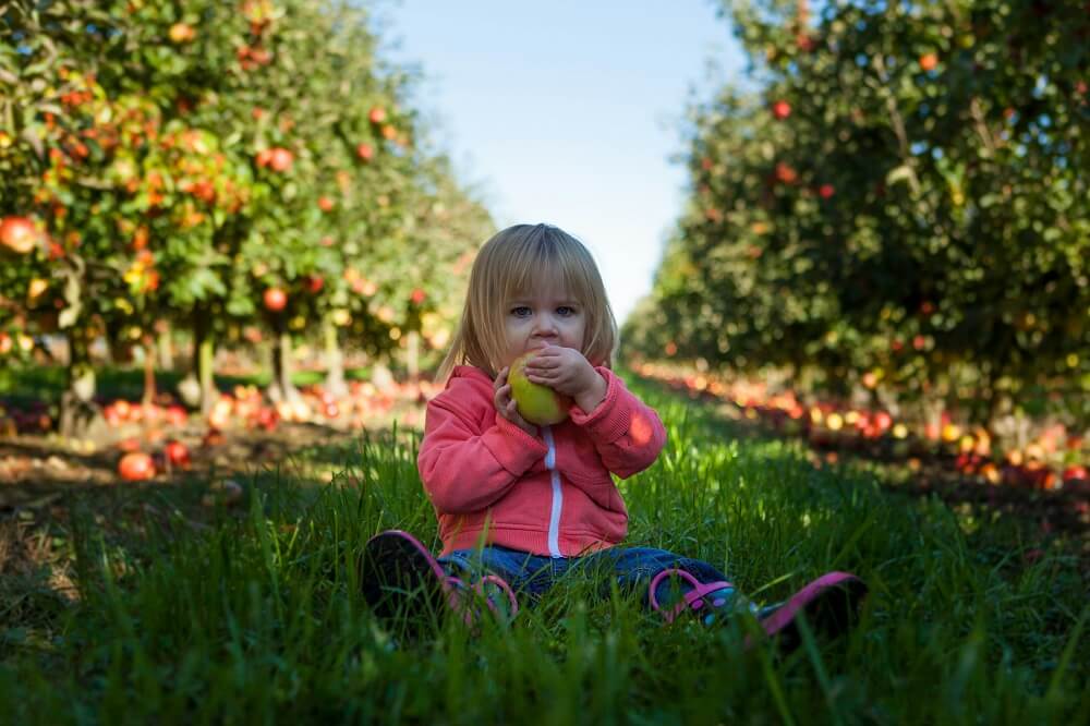 Deca i voćnjak: Otkrivanje čarolije prirode kroz igru i učenje