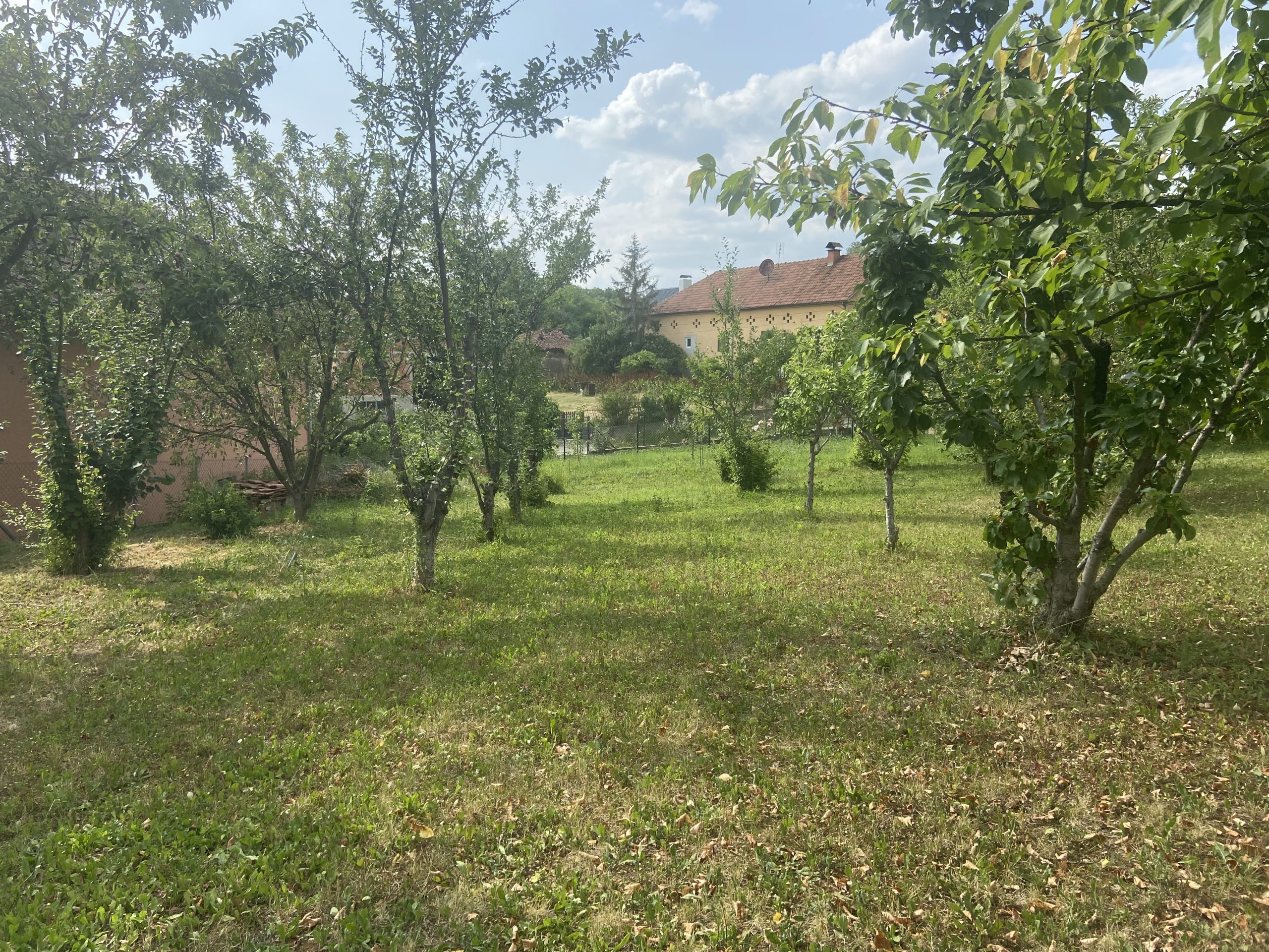 Kada naručiti sadnice za jesenju sadnju – prednosti rane rezervacije