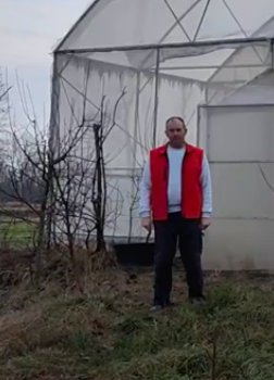 Видео Мутавджич