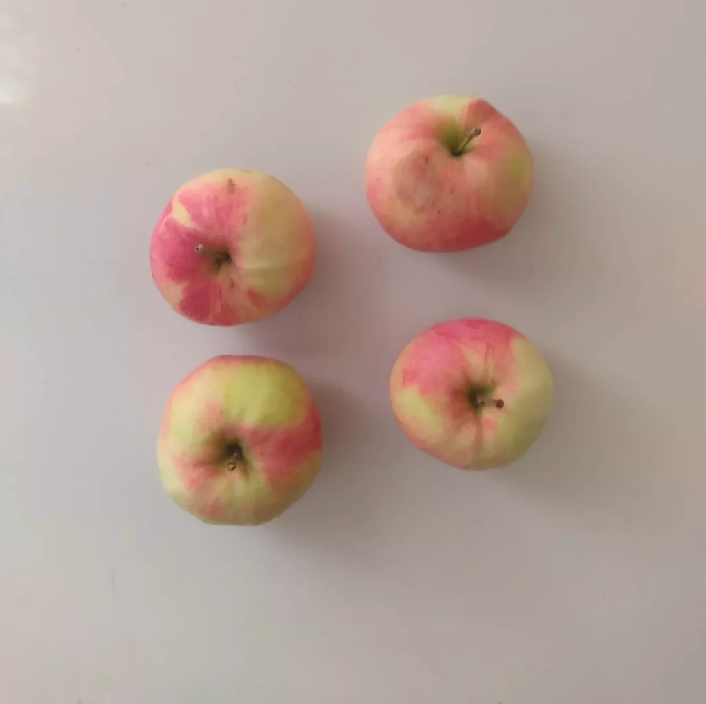 sorte jabuka na slovo A