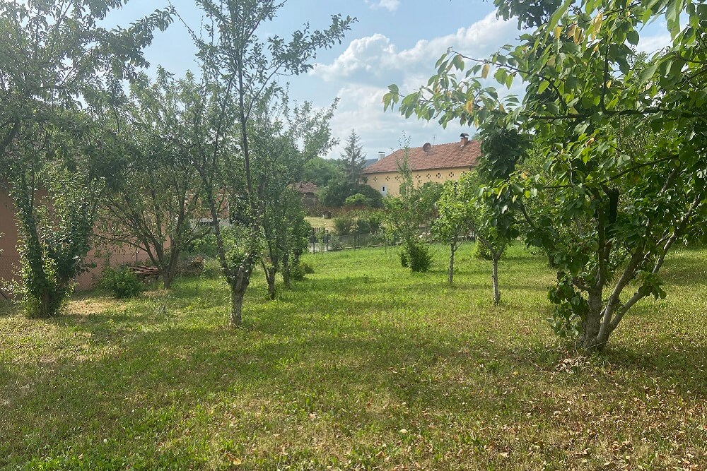 planiranje voćnjaka