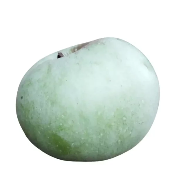 jabuka Budimka