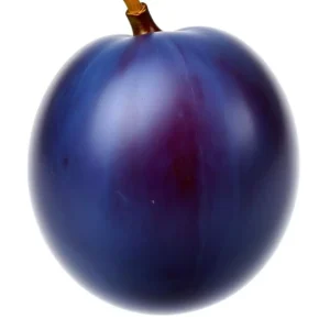 voćna sadnica šljiva Stenlej