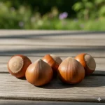 sadnica žbunasti lešnik Halski džin