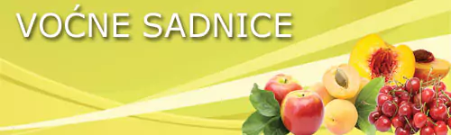 galerija voćne sadnice