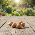 žbunasti lešnik Nocioni