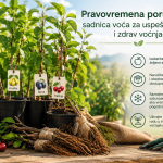 Pravovremena porudžbina sadnica voća za uspešnu sadnju i zdrav voćnjak